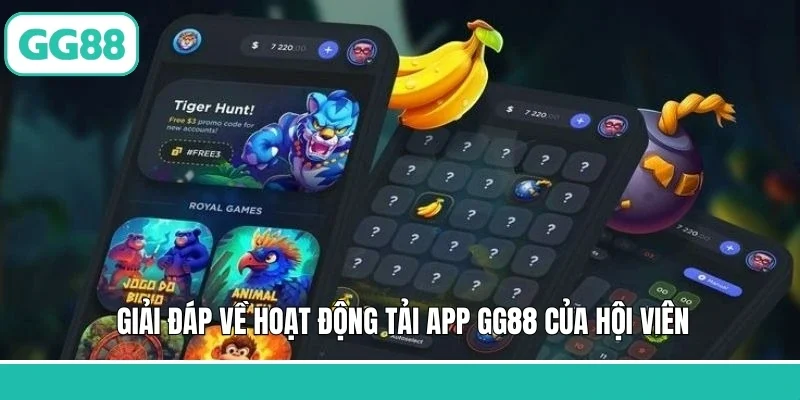 Giải đáp về hoạt động tải app GG88 của hội viên