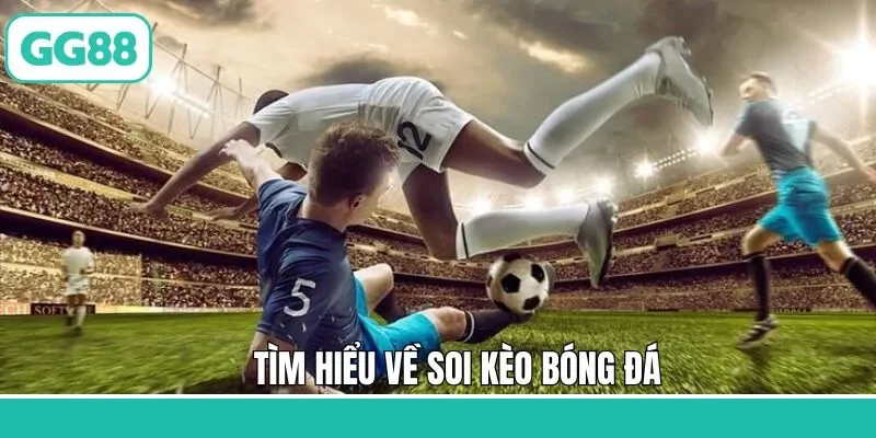 Giới thiệu về phương pháp hiệu quả trong cá độ